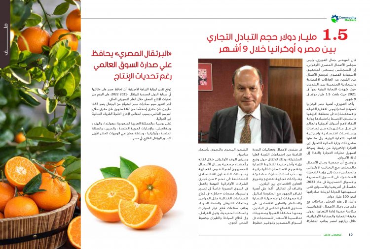 إقرأ في العدد الجديد من كومودتي ماركت ... الصعيد علي طريق التنمية 