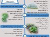 دليل الخدمات التي تقدمها الإدارة المركزية للبساتين... إنفوجراف