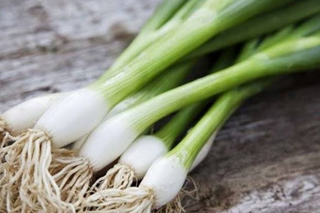 «البصل الأخضر المصري» برئ من نشر الإصابة ببكتريا الإيكولاي