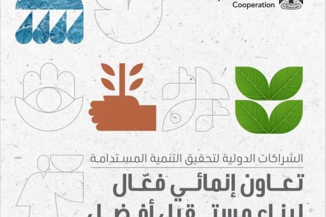 4.8 مليار دولار تمويلات تنموية للقطاع الخاص في مصر خلال عامين