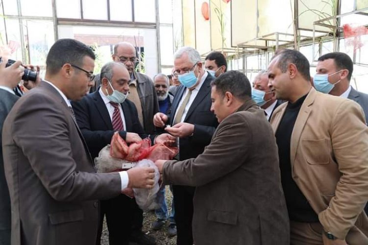 «القصير » يتفقد تجربة زراعة القصب بالشتل في مركز البحوث