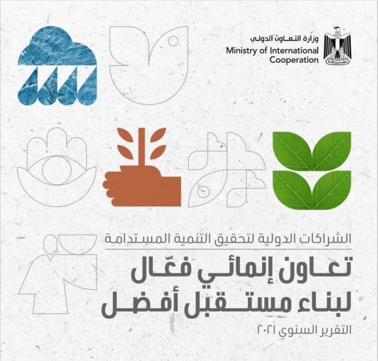 4.8 مليار دولار تمويلات تنموية للقطاع الخاص في مصر خلال عامين