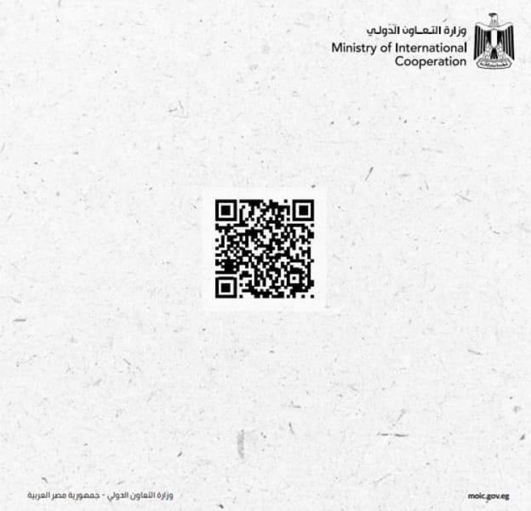 4.8 مليار دولار تمويلات تنموية للقطاع الخاص في مصر خلال عامين