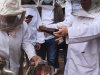 وقاية النباتات ينفذ دورة تدريبية عملية عن تربية نحل العسل للمبتدئين 