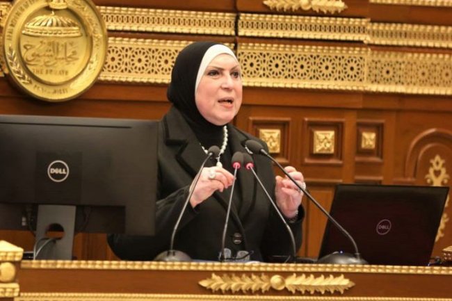 وزيرة الصناعة أمام “الشيوخ”: تعميق التصنيع المحلى للمنتج المصرى يأتى على رأس أولويات الحكومة
