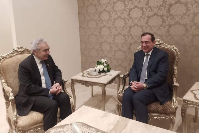 وزير البترول يبحث مع "الطاقة الدولية" زيادة التعاون فى التحول للطاقة النظيفة