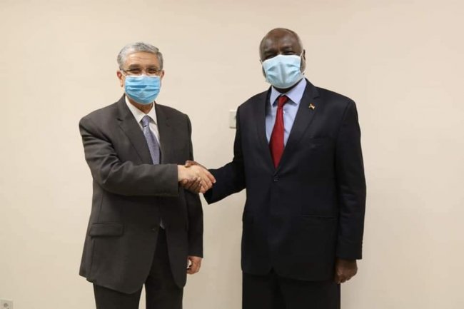 «شاكر» يبحث تنفيذ مشروع الربط الكهربائي مع السودان 