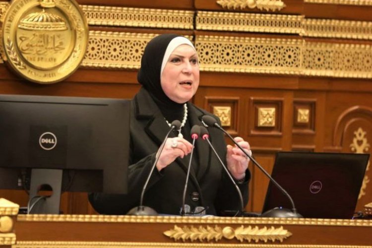 وزيرة الصناعة أمام “الشيوخ”: تعميق التصنيع المحلى للمنتج المصرى يأتى على رأس أولويات الحكومة