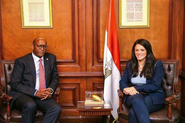 «المشاط» تبحث آفاق التعاون المتاحة مع بنك التنمية الإفريقي