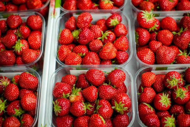 «العطار» ينفي فرض إتاوات على مصدري الفراولة المجمدة 