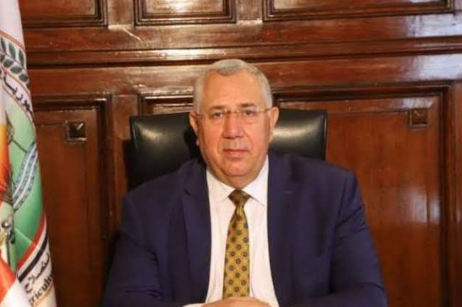 «القصير» : تحفيز المزارعين لتوريد أكبر قدر من القمح للصوامع