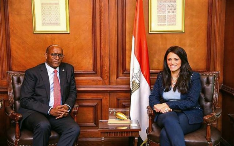 «المشاط» تبحث آفاق التعاون المتاحة مع بنك التنمية الإفريقي