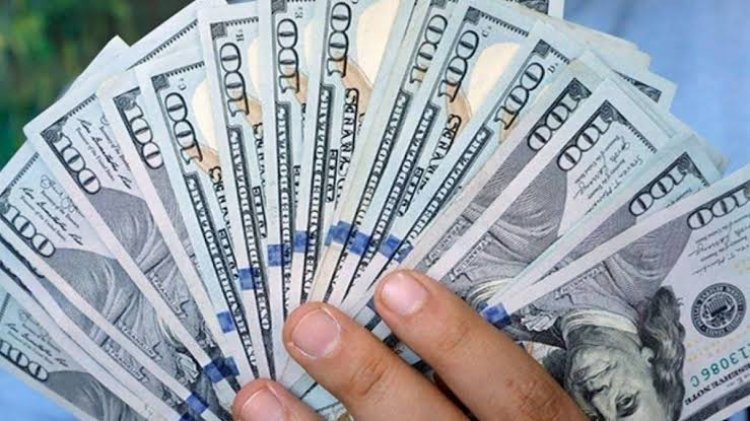 ارتفاع طفيف فى سعر الدولار اليوم بالبنوك 
