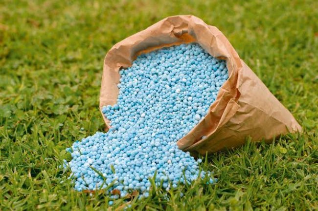 طلبات أمريكية وأوروبية لاستيراد الأسمدة المصرية