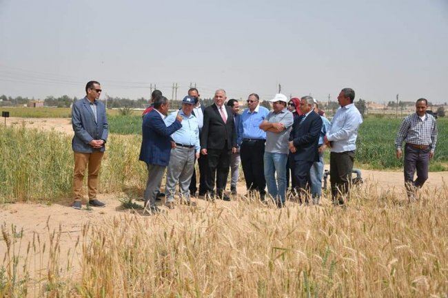 وزير الرى: تطبيقات لإستخدام المياه عالية الملوحة فى رى المحاصيل وإعادة إستخدام مياه الصرف