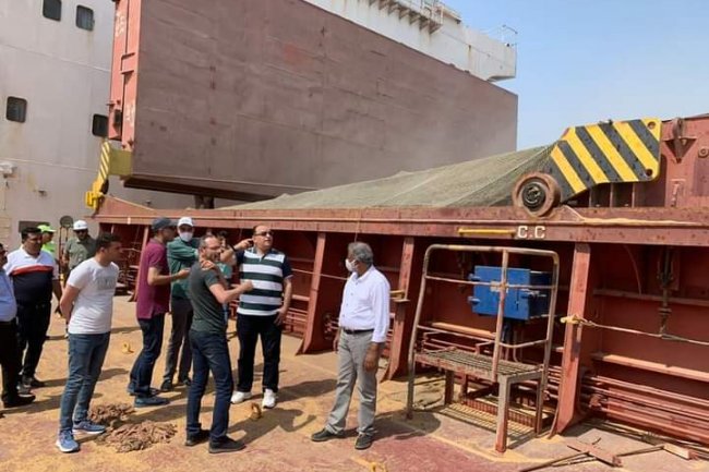 الحجر الزراعي يفحص أول شحنة قمح هندي لمصر