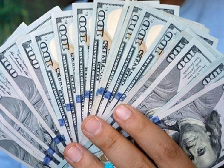 تعرف على سعر الدولار اليوم بالبنوك المصرية 