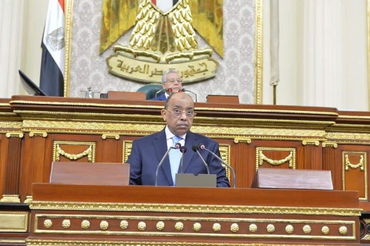 شعراوى: الانتهاء من فحص 149 ألف طلب تقنين لأراضى الدولة 