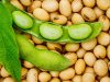 بالأرقام.. تراجع أسعار عقود الذرة وفول الصويا  