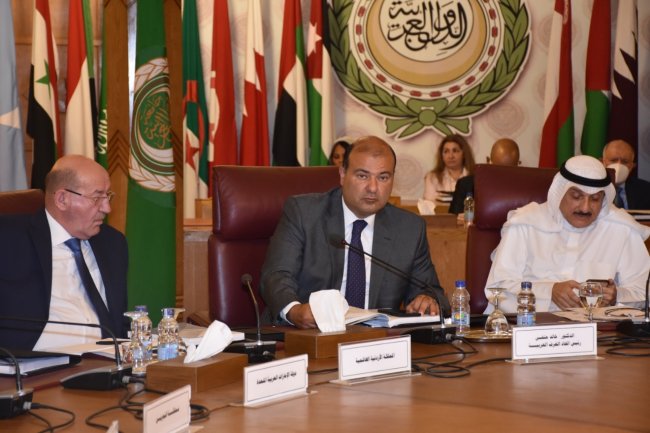 حنفي: مضاعفة مصر حصة القطاع الخاص إلى نحو 65 %؜ تحوّل استراتيجي