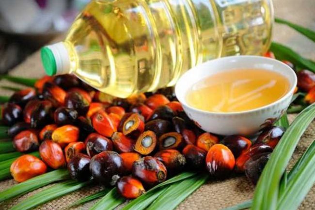 لأول مرة من 5 أشهر.. تراجع أسعار زيت النخيل 