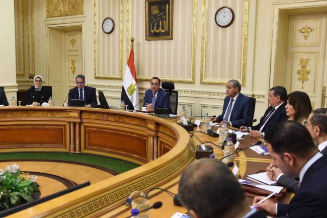 غدًا ..أول شركتان تحصلان على الرخصة الذهبية من مجلس الوزراء