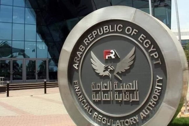 الرقابة المالية : 10 ملايين جنيه تمويلات لمشروعات النانو فاينانس