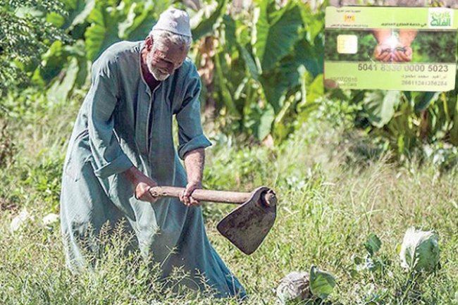 تعرف على الأوراق المطلوبة  للحصول على كارت الفلاح الذكي