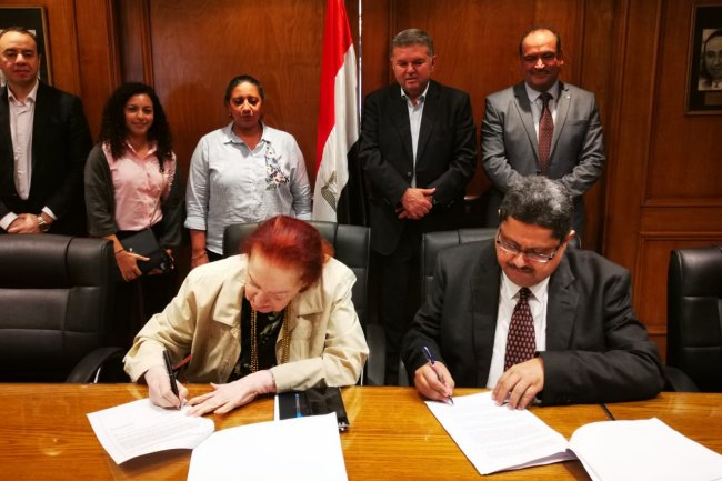 وزارة قطاع الأعمال تنجح فى  تحويل مصنع غزل مغلق لسنوات بالفيوم إلى مجمع للملابس الجاهزة   