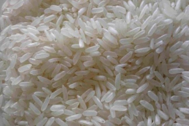 4 آلاف جنيه ارتفاعا في أسعار الأرز الشعير بالمضارب