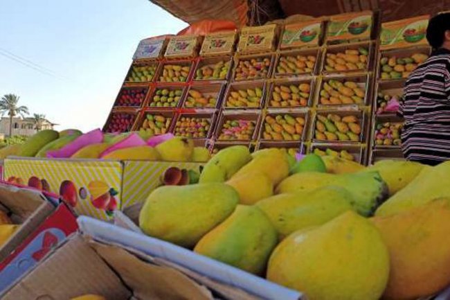بورصة السلع .. 25 جنيهًا لكيلو المانجو العويس و11 جنيهًا للتفاح المصرى