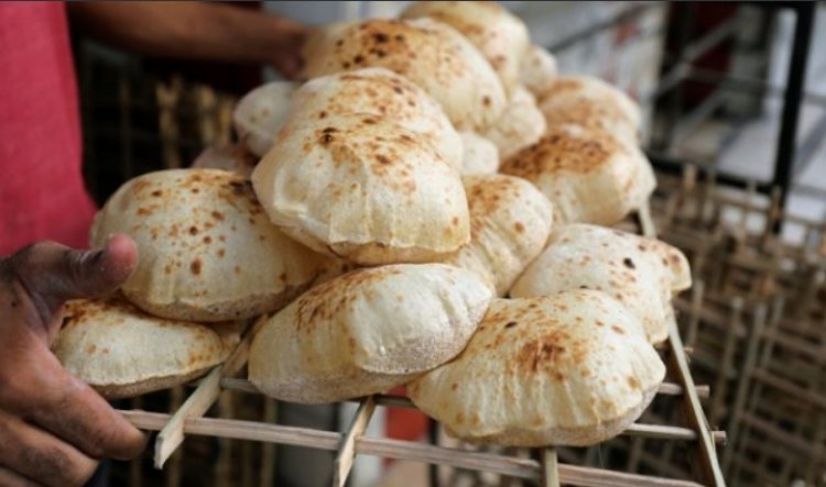هل تستهدف الدولة إلغاء دعم الخبز بنهاية العام الجارى؟ وزارة التموين تجيب