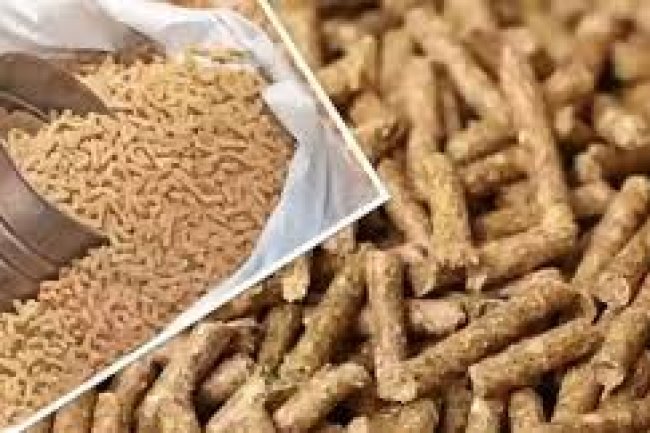 تعرف على أسعار الأعلاف اليوم في مصر لدى تجار الجملة