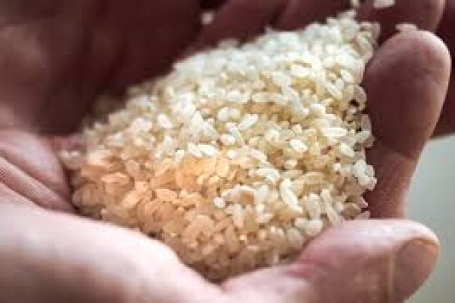     بورصة السلع ..  1750 جنيه ارتفاعًا فى أسعار الأرز الأبيض