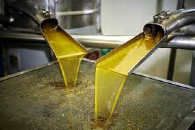 استقرار  أسعار زيت الأولين والطن  يسجل 33,500 جنيه