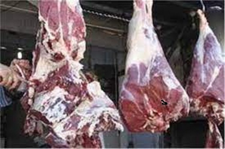 أسعار اللحوم.. 160 جنيها للكندوز  و120 جنيها للجملى
