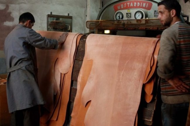 غرفة الجلود تطالب بتوفير قروض بفائدة مميزة للقطاعات الإنتاجية