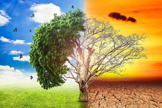 الآثار الاقتصادية للتغيرات المناخية ..حقائق وأسرار 