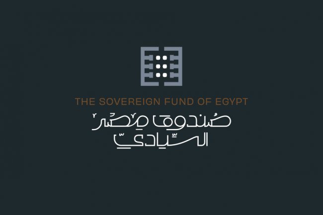 السعيد : صندوق مصر السيادي يهدف إلى تشجيع القطاع الخاص للدخول في مجالات استثمارية متعددة