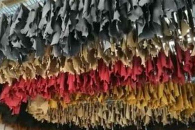 "دباغة الجلود" تطالب وزير الصناعة بإعادة تصدير الجلد الكروم لزيادة الصادرات المصرية 