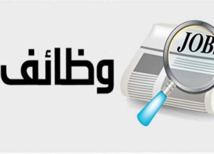 وزارة القوى العاملة توفر 3 ألاف فرصة عمل ..أعرف التفاصيل