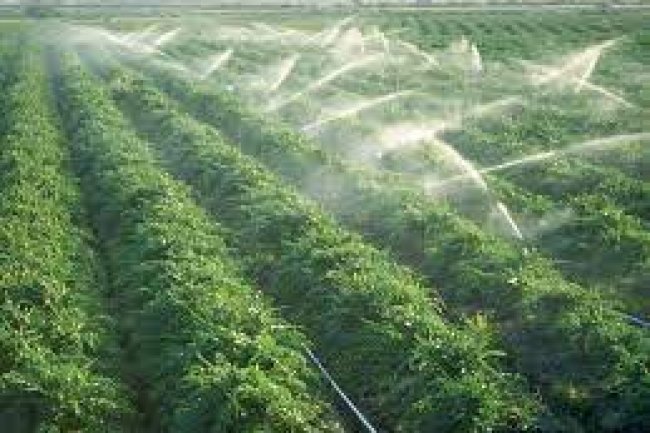 بدون فائدة وبفترة سداد تصل لـ 10 سنوات ..  تفاصيل مبادرة تشجيع الفلاحين على التحول إلى نظم ري احديثة