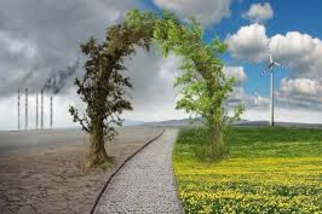 علي هامش مشاركتها في قمة المناخ COP 27 .. "العربية البرازيلية" تناقش مستقبل الفرص بين الدول العربية والبرازيل في سوق الكربون 