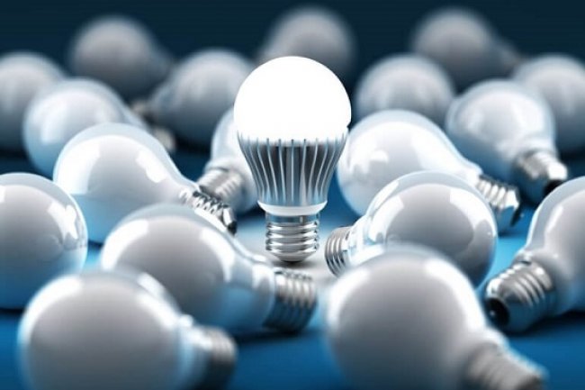 معلومات الوزراء:  93% من المصريين يستخدمون لمبات موفرة ..72.9% يؤيدون زراعة الأشجار المثمرة