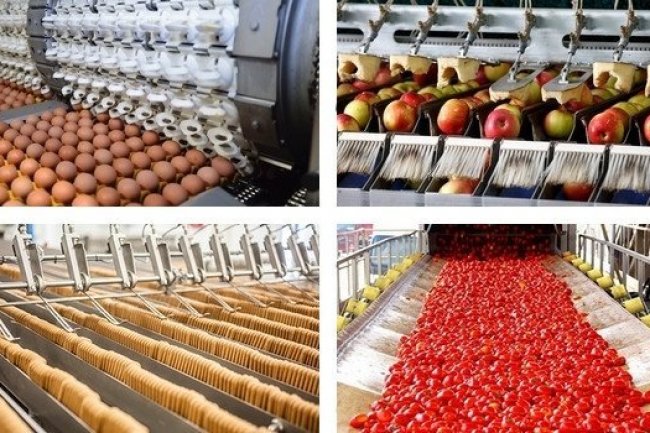  قطاع الصناعات الغذائية ..فرص واعده وآمالًا معلقة