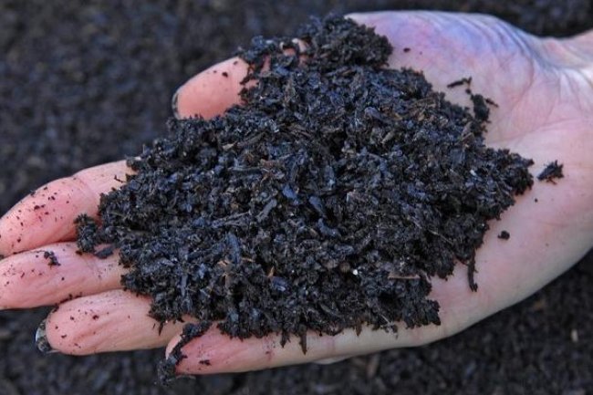 معهد بحوث الهندسة الزراعية ينجح فى إنتاج الفحم الحيوي من مخلفات زراعية