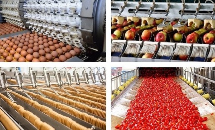  قطاع الصناعات الغذائية ..فرص واعده وآمالًا معلقة