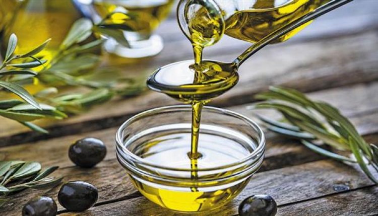 «دار زيتون» السعودية ترفع طاقتها الإنتاجية إلى 4 ألف طن زيت زيتون سنويًا