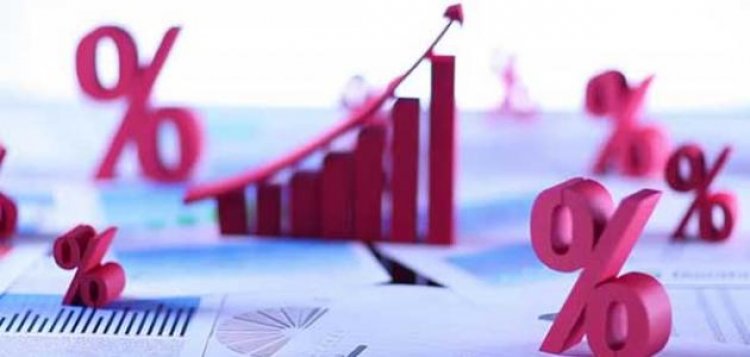 قبل اجتماع المركزي .. خبيرة مصرفية تكشف توقعات سعر الفائدة 
