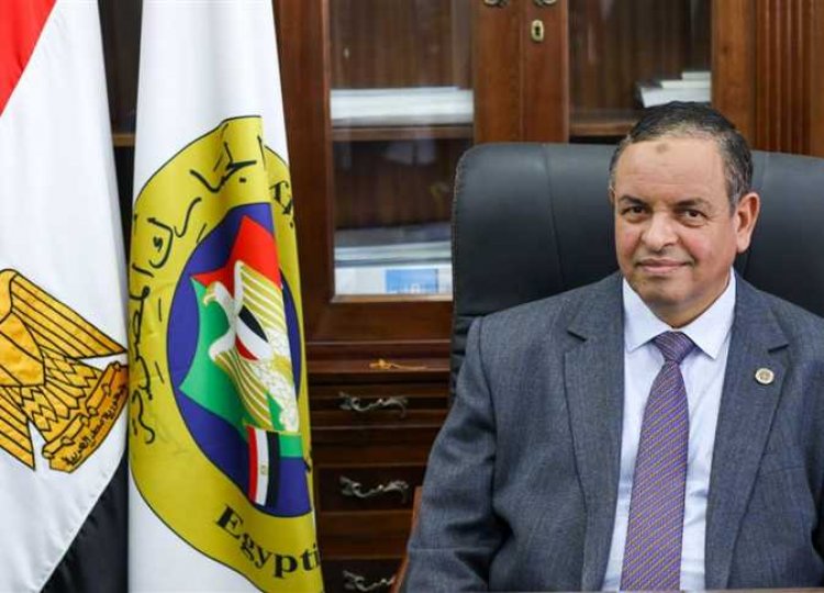   الجمارك المصرية تعتزم معاقبة المستوردين المتورطين في الاضرار بالاقتصاد القومي